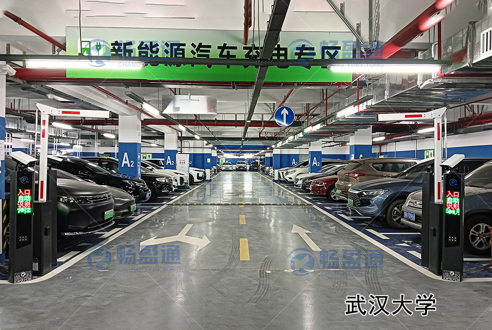 武漢大(dà)學車(chē)牌識别